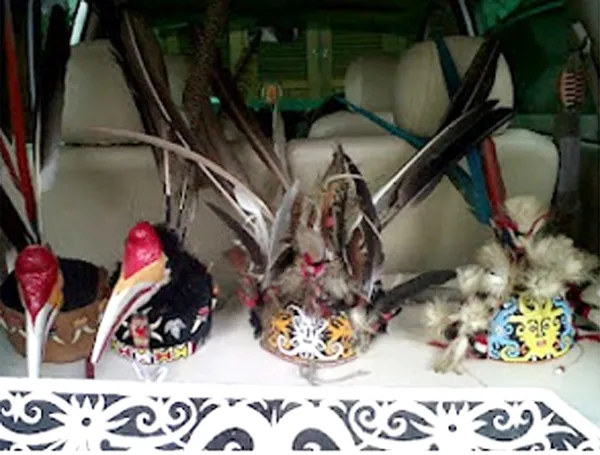 enggang5-hiasankepala Hiasan Kepala dari Rangka Burung Enggang Gading