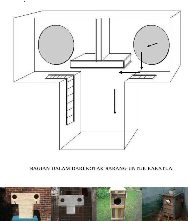 TBOX-NEW1-vert