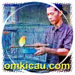 Feat Dewa Erlang