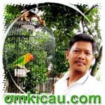 Feat Lovebird Olive