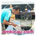 Feat Pcmi 1