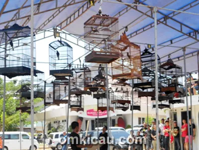 Lomba Kicau Monumen Mandala
