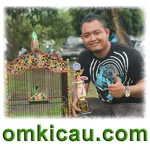 Feat Cucak Hijau Anak Haram