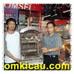 Feat Mifta Bird Shop