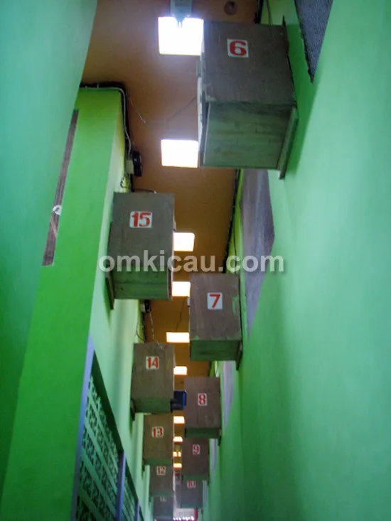 Kotak sarang burung jalak