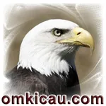 Feat Eagle Bald