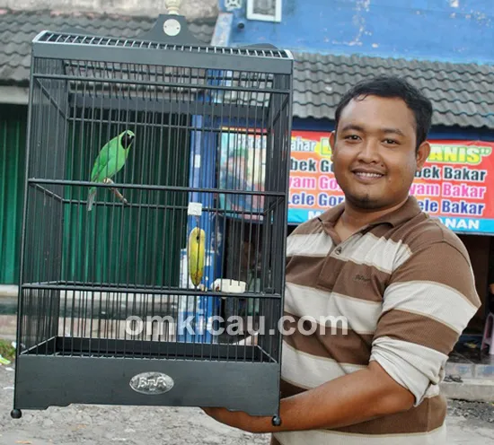 Helmy Asalvo dan cucak hijau Heroo