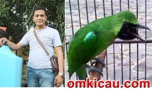 Feat Dealova