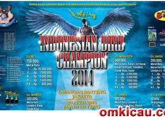 Feat Ibc Cup