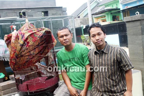Izumi Bird Farm Cibinong Bogor