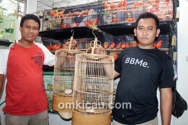 Burung pailing di Trisakti BF Jakarta