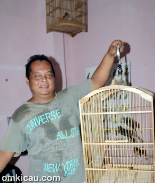 Breeding murai batu ABS BF Jakarta