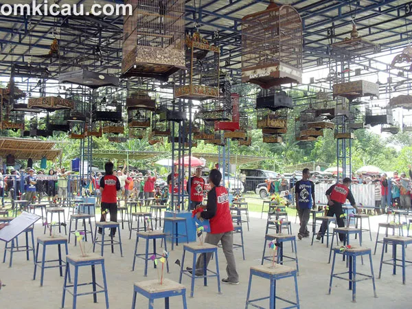 Lomba Burung Afdani Cup 2 Samarinda