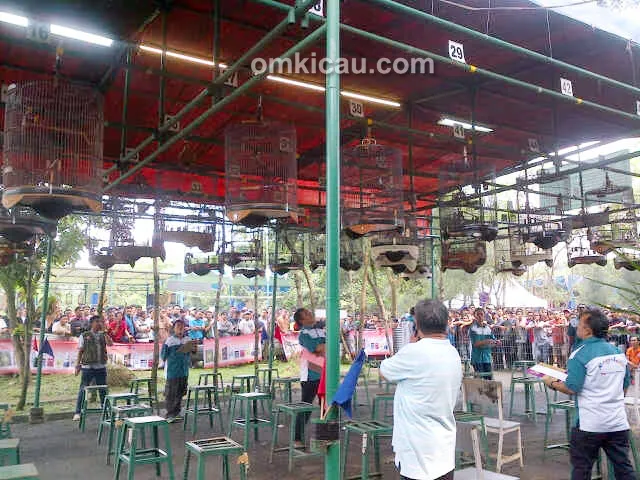 Lomba burung E-Bodre Cup