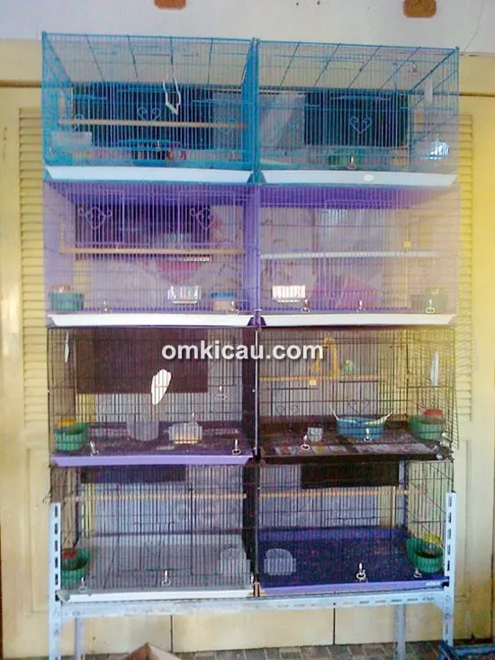 Kandang ternak lovebird
