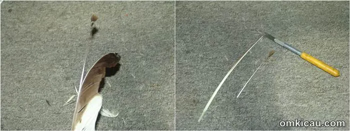 Menyambung bulu yang rusak