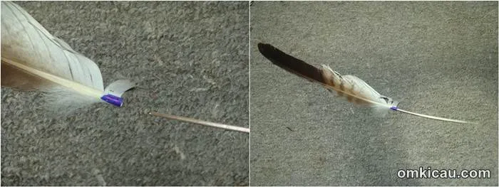 Menyambung bulu yang rusak