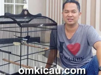 Feat H Rico Dan Panglima Sumatera