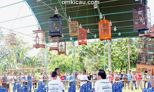 Lomba Burung 2nd Anniversary Kimato BC Blora