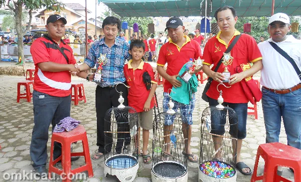 Lovebird Putri juara di Polongan BC