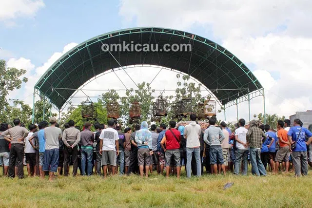 Arena lomba Kimato BC