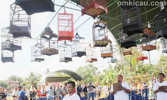 Lomba Burung 2nd Anniversary Kimato BC Blora