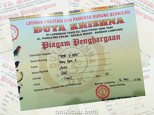 piagam murai batu New V-Xion
