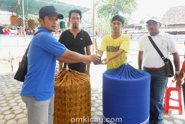 MB Seda juara di Polongan BC