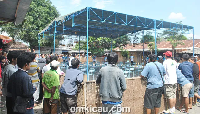 Lomba Burung PK2S Muntilan