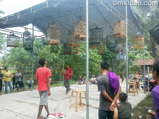 Latber BBC di Cirebon