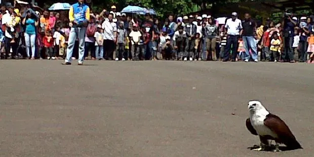 ELang