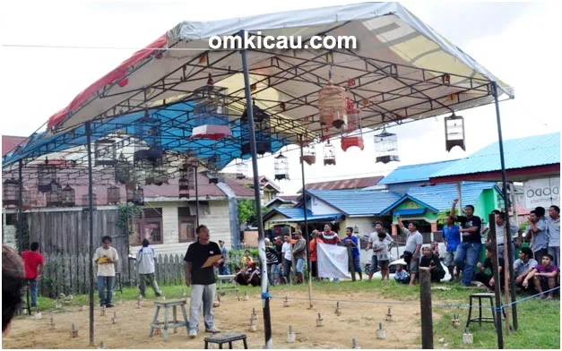 Latpres Burung Pleci MIG-Independent Balikpapan