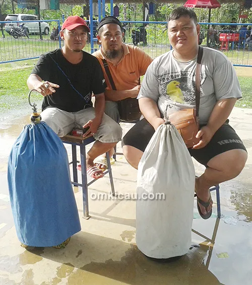 Piyu Sky, Alwan, dan Onat
