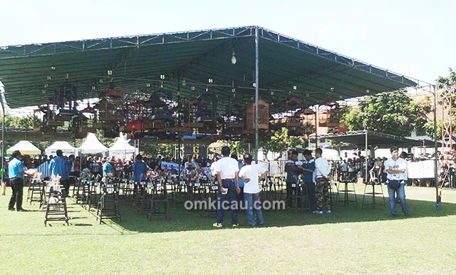 Suasana lomba di kelas cucak hijau