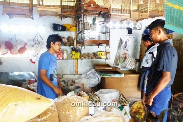 Wahyu, toko pakan burung dari dana BLT