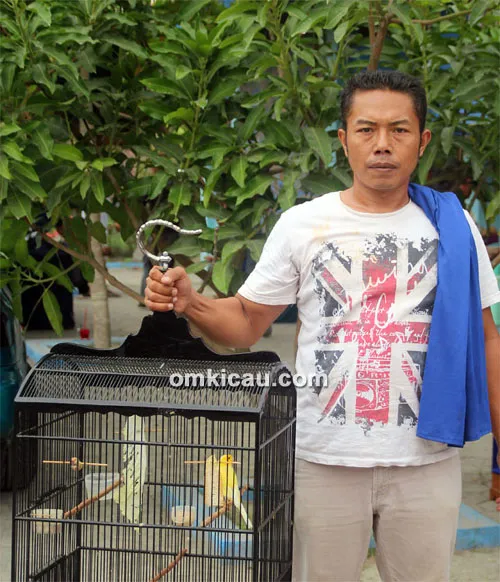 Om Kodor dan kenari Bambu Runcing