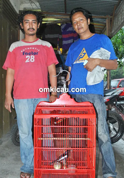 Mr Agung dan kacer Anaconda