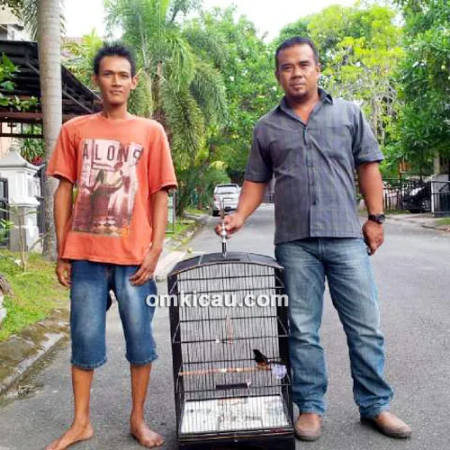 Novan, mekanik MB Young Boy