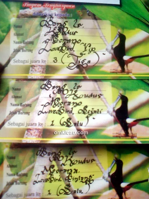 Piagam kemenangan lovebird Murano