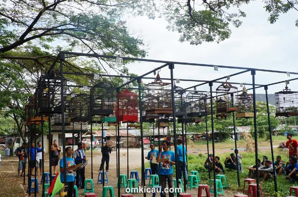 Suasana lomba di kelas kenari