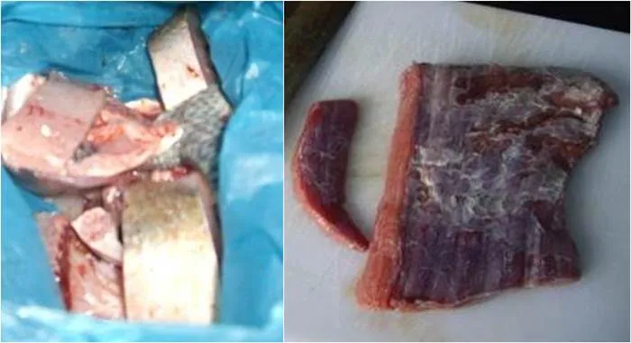 Daging ikan dan daging sapi dihaluskan