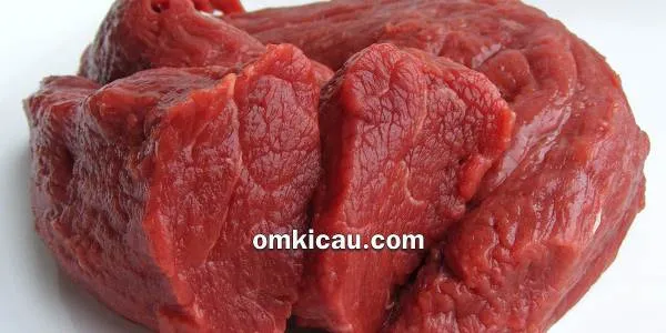 Daging sapi untuk burung