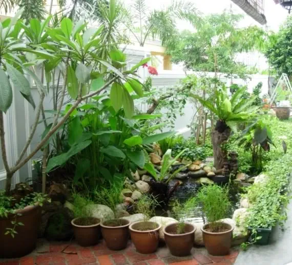 Taman kecil untuk habitat burung