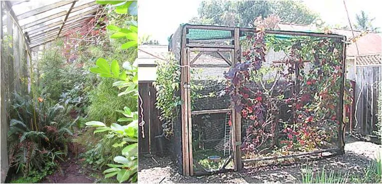 Habitat aviary