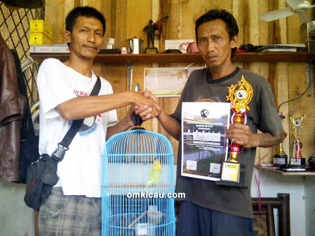Itok LB Shop boyong lovebird Jolo Doro