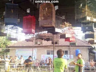 Kelas cendet Latpres JNV-F Kudus