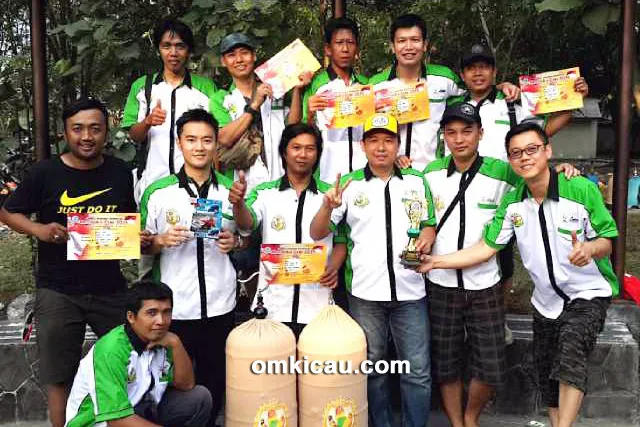 Luwes BC Solo