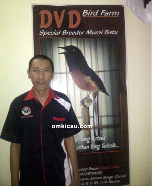 David Susilo - DVD BF