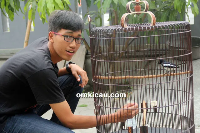 Fandi, perawat kacer Wolverine