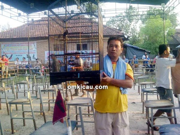 Om Toriq dan kacer Orok-Orok